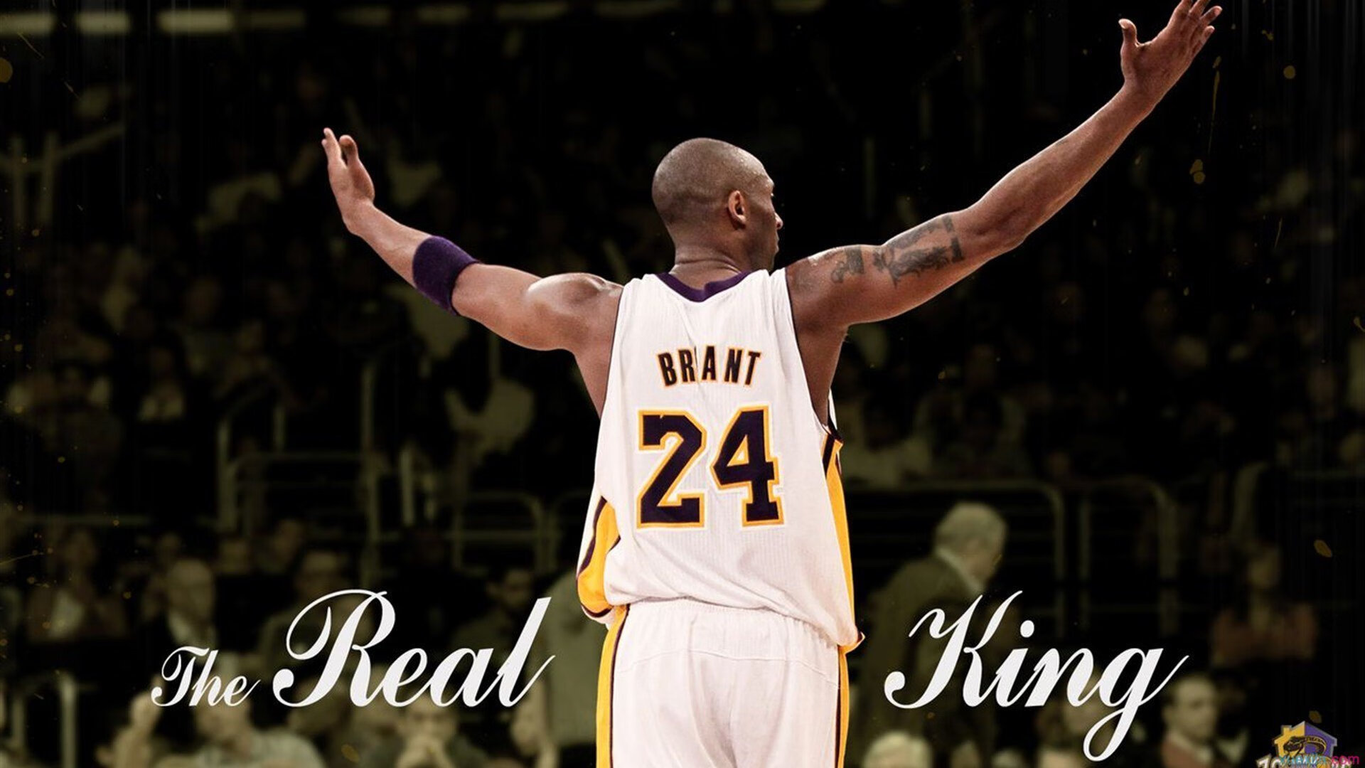 AYX官网-林丹参观羽毛球博物馆引发回忆，林丹羽毛球简介